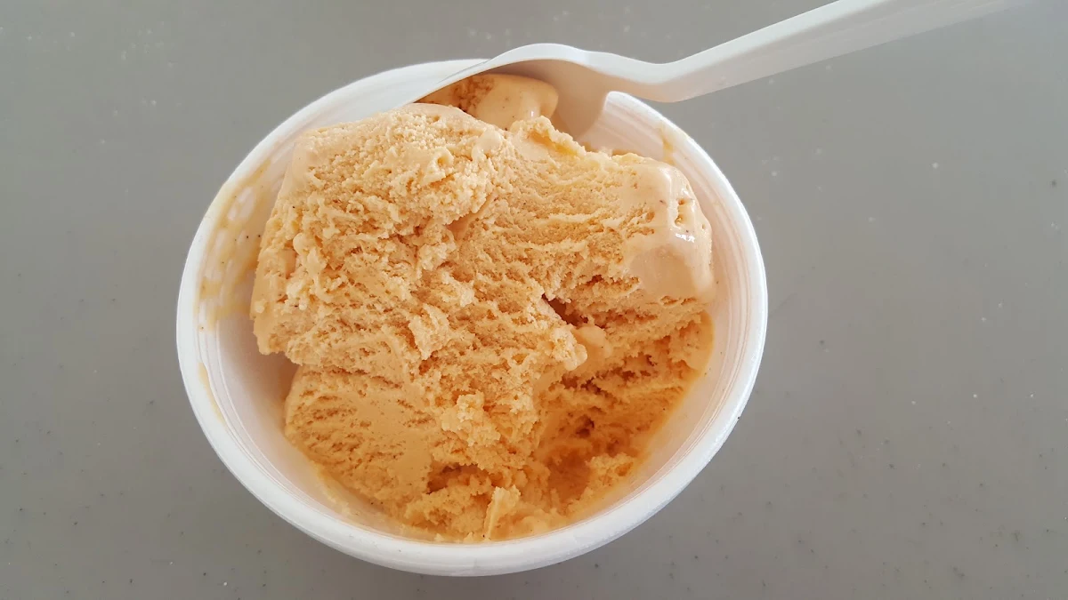 Pumpkin Spice Ice Cream