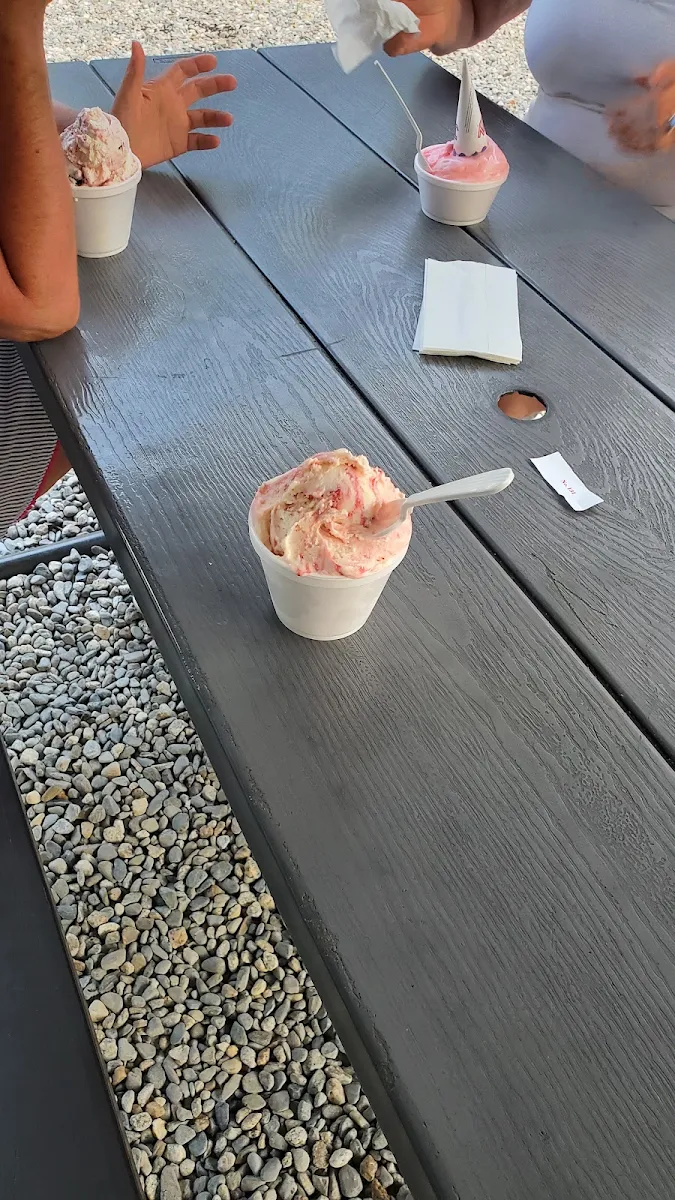 Sugar Free Ice Cream