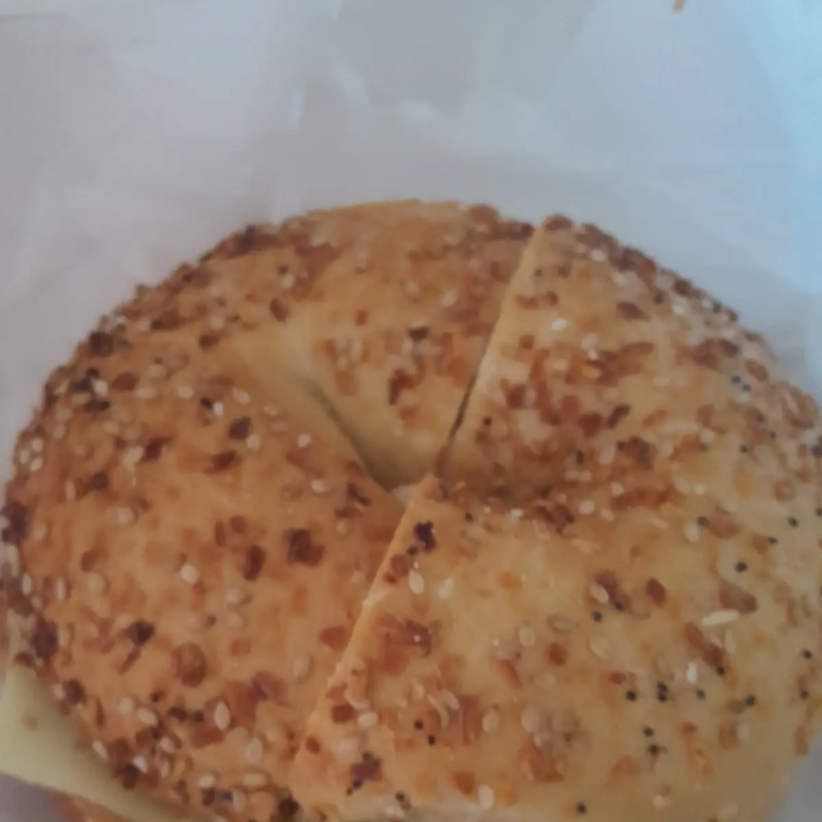 Egg and Cheese on an Everything Bagel