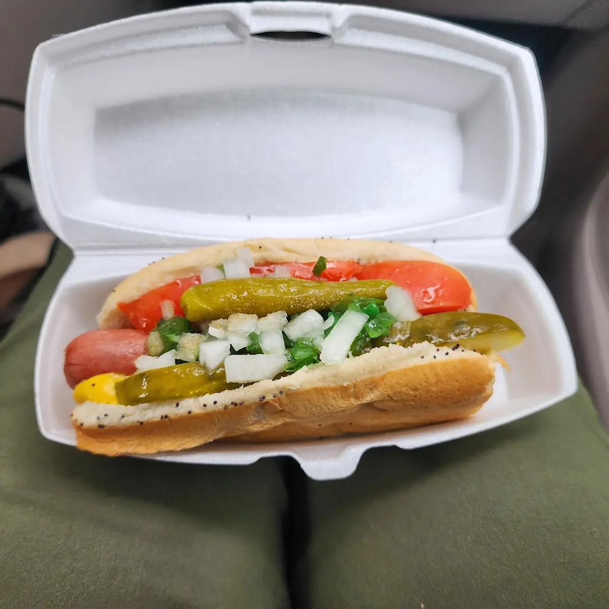 Hoggie Doggie Chicago Dog