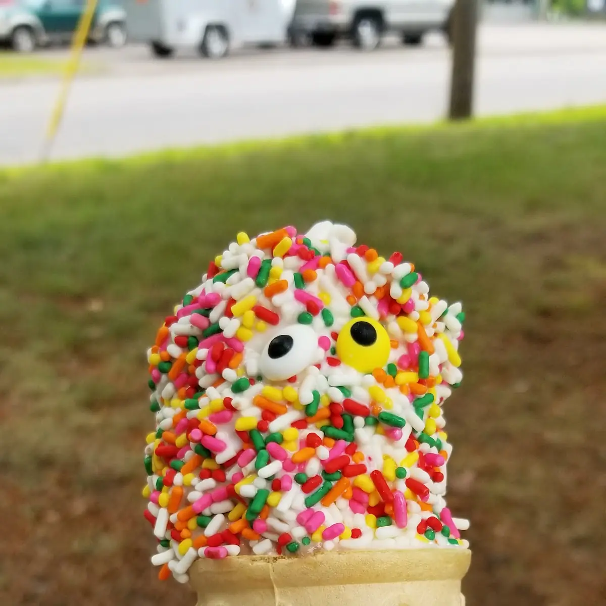Large Vanilla Cone Dipped in Sprinkles