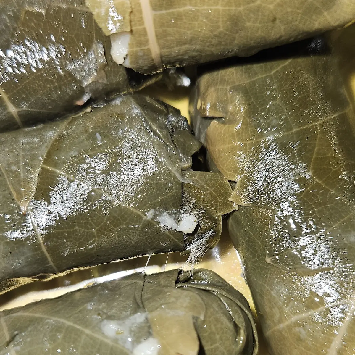 Dolma Grape Leaves 12 Piece w Rice