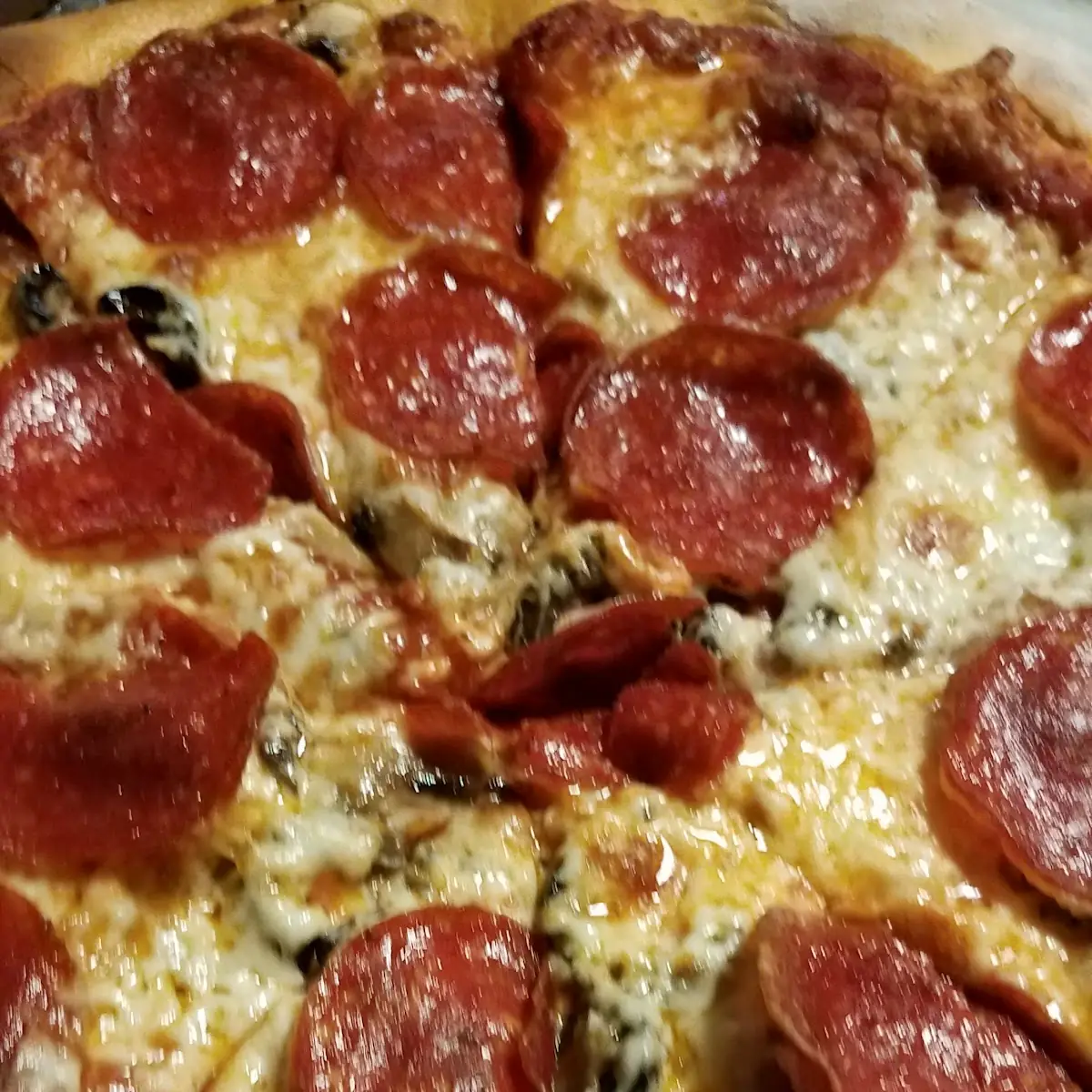 Pepperoni Olives and Mushroom Pizza