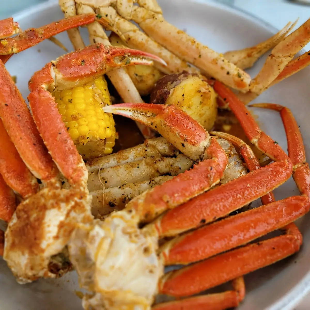 Snow Crab