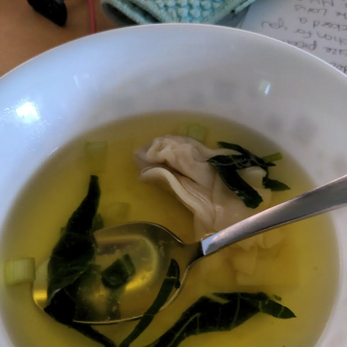 Wonton Soup