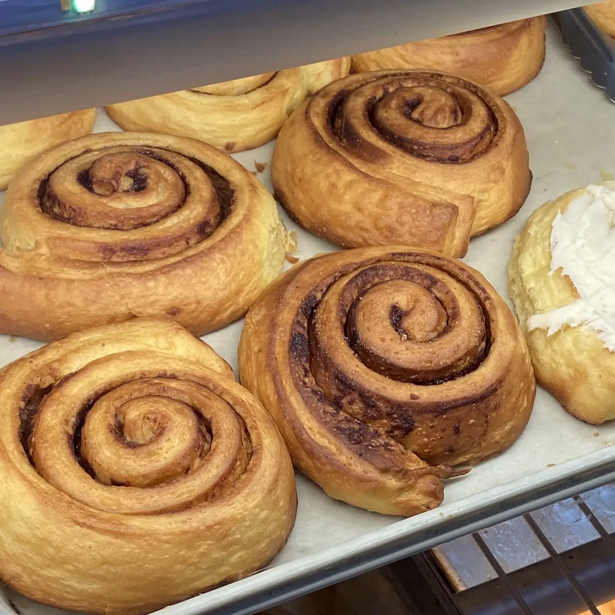 Cinnamon Roll