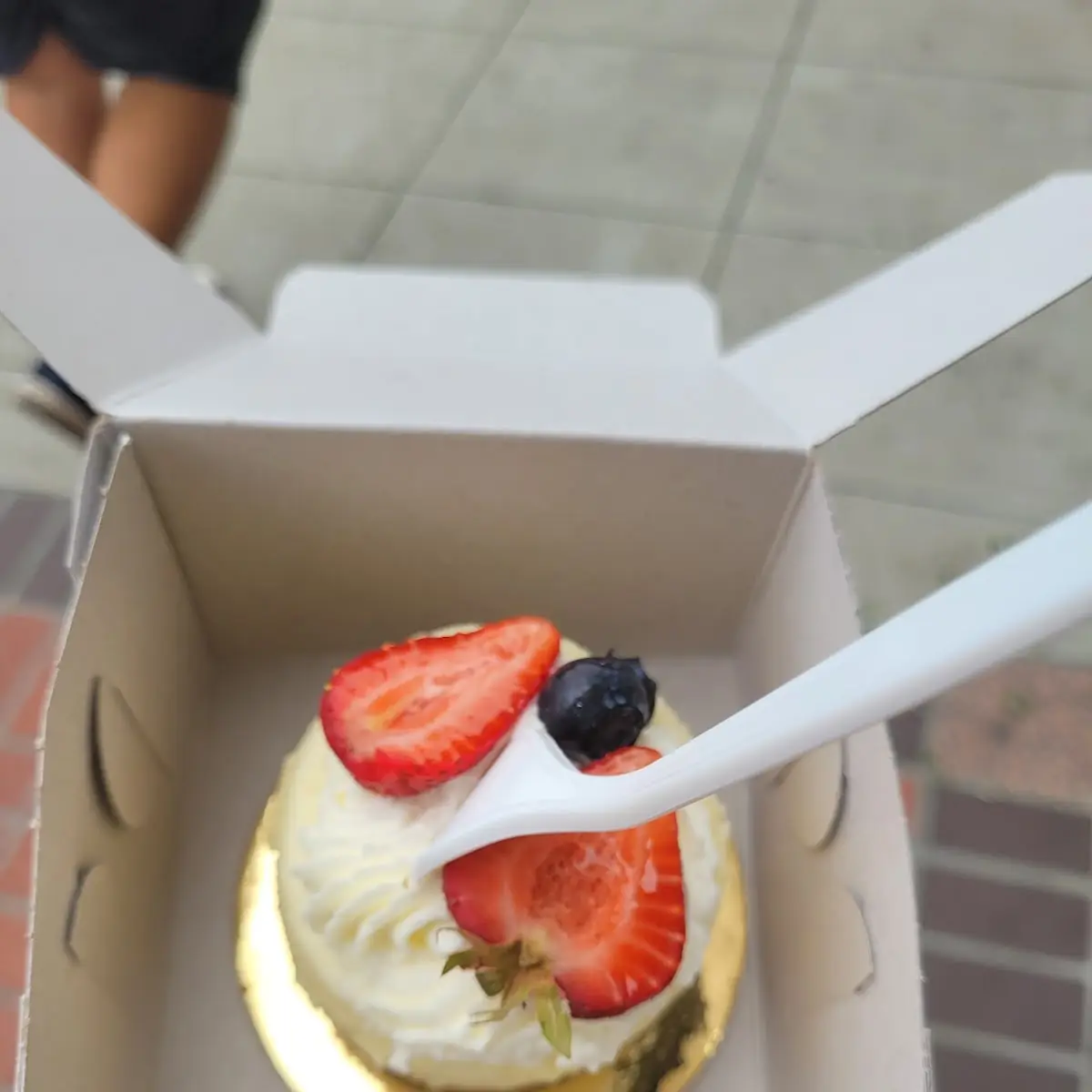 Cheese Cake