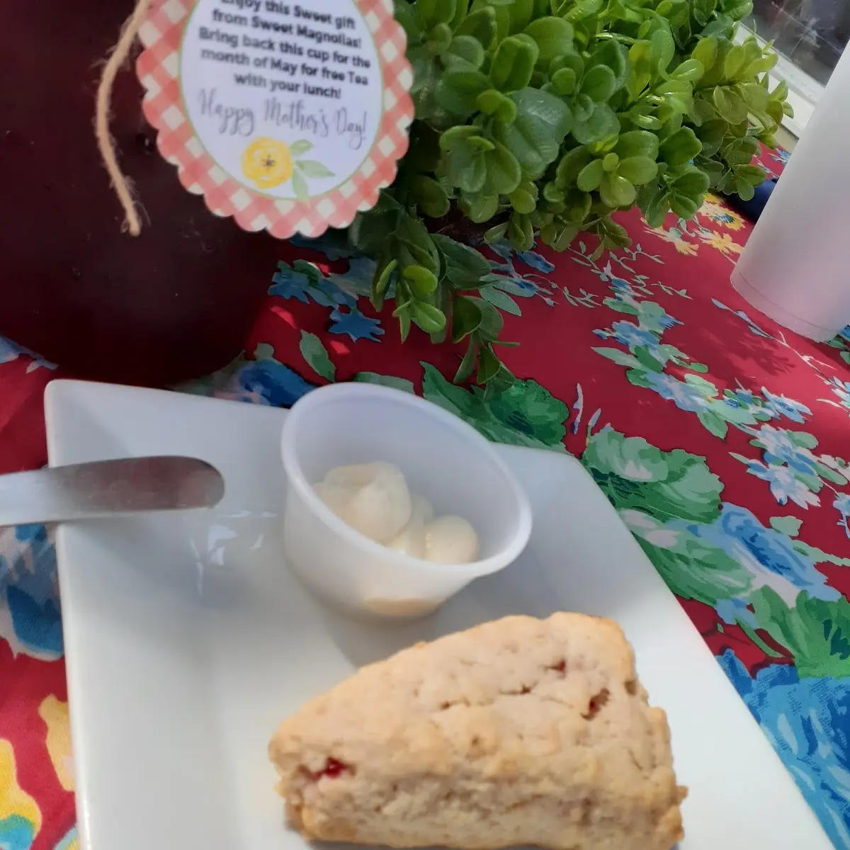 Strawberry Shortcake Scones
