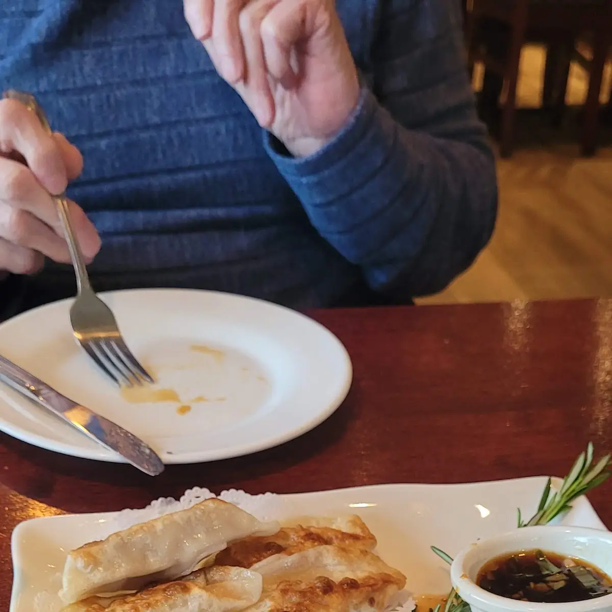 Pan Fried Chicken Dumplings
