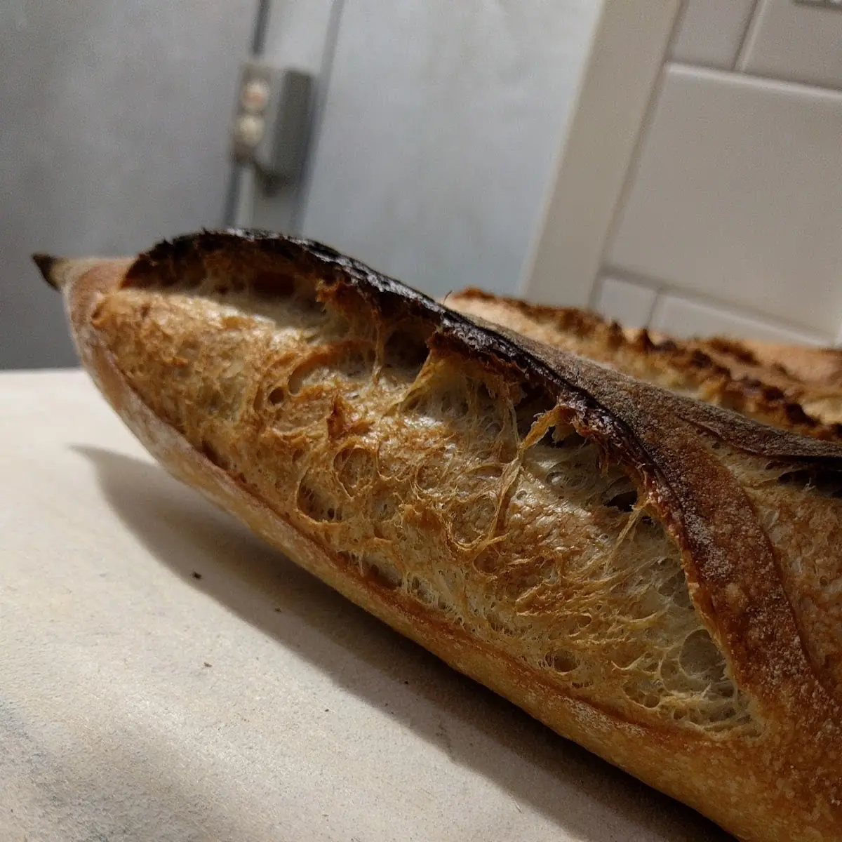 Sourdough