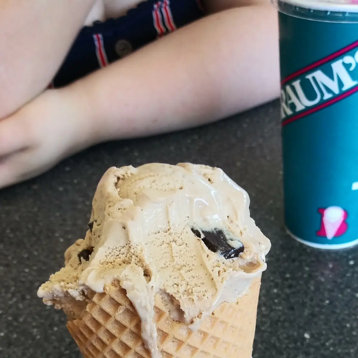 Mocha Chip Ice Cream