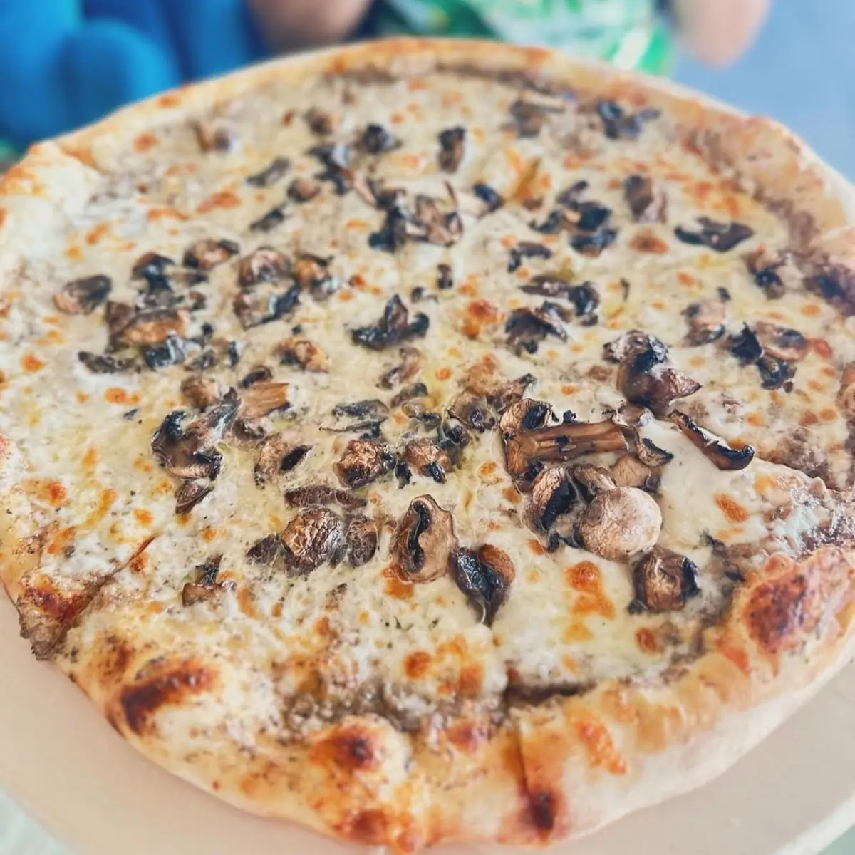 Truffle Pizza