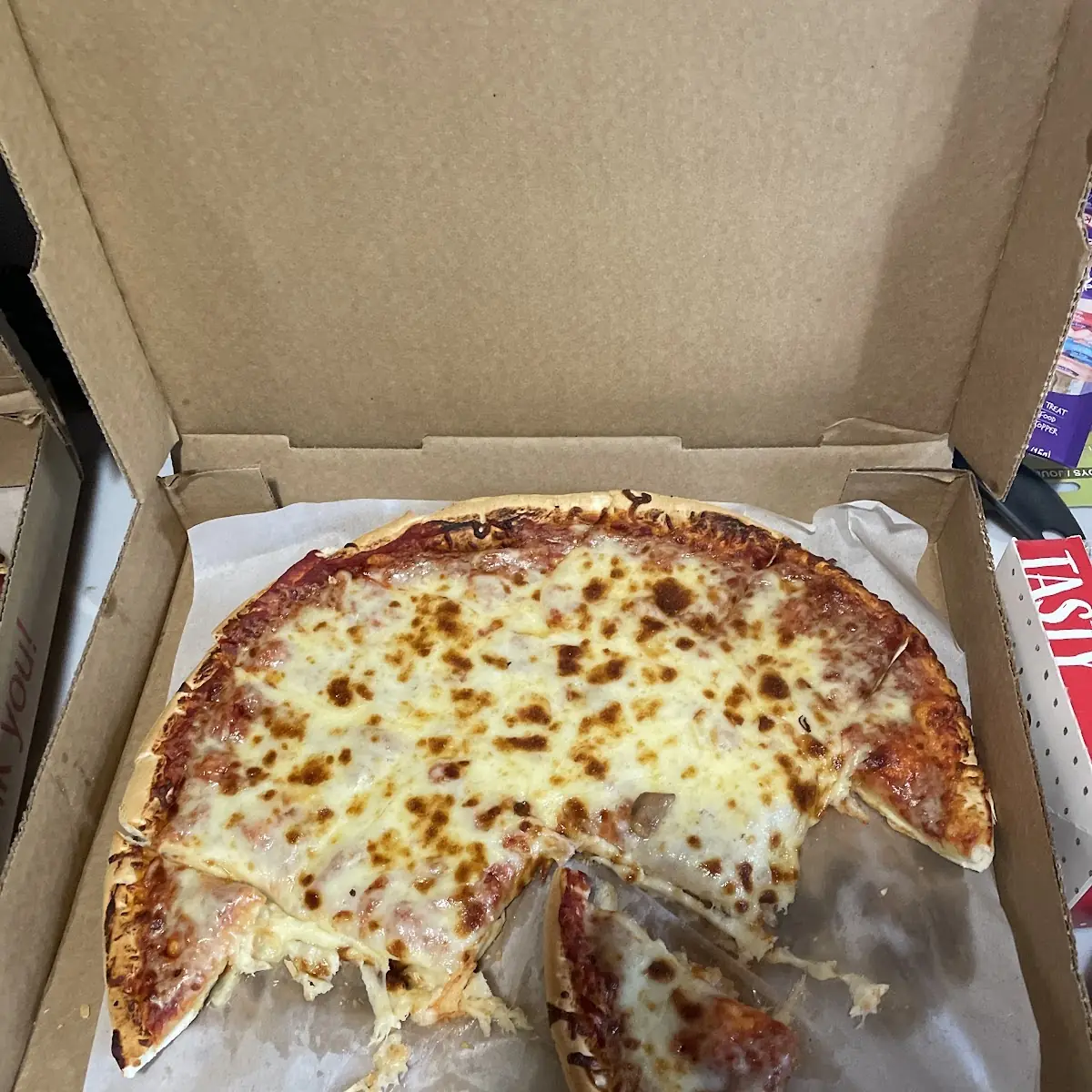Extra Cheese Pizza
