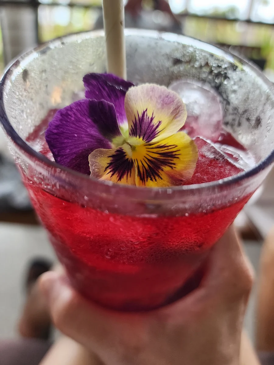 Cocktails, Cable Beach House