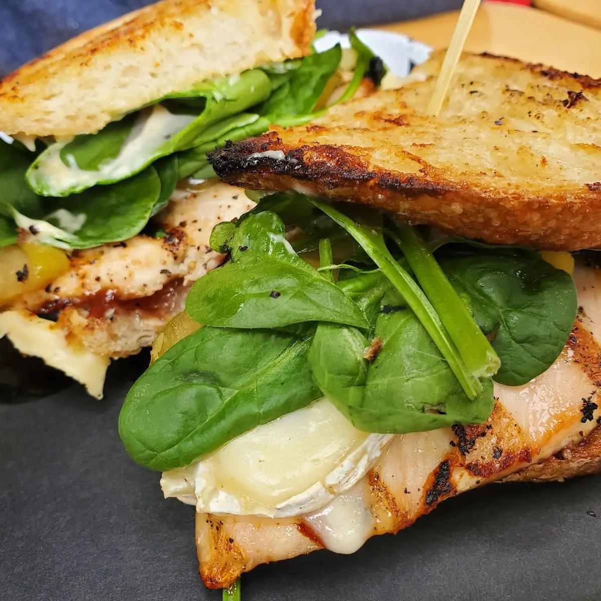 Apple Brie Sammy