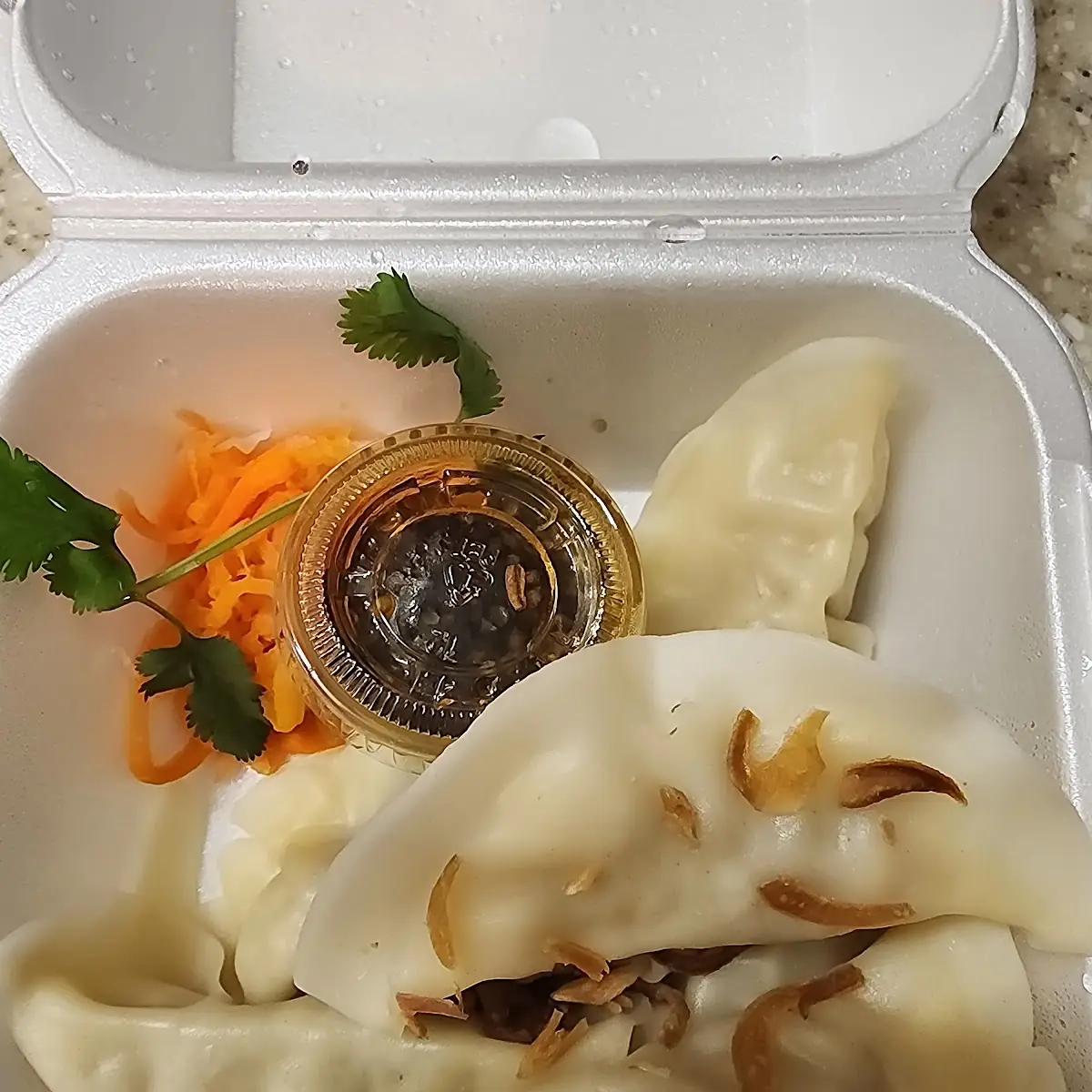 Chicken Dumplings
