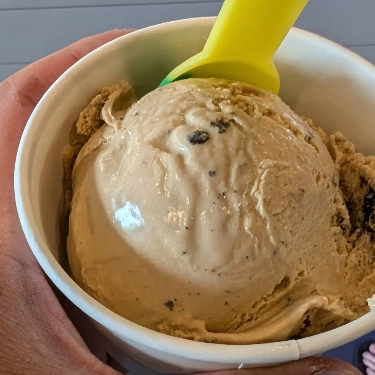 Banana Peanut Butter Moose Tracks