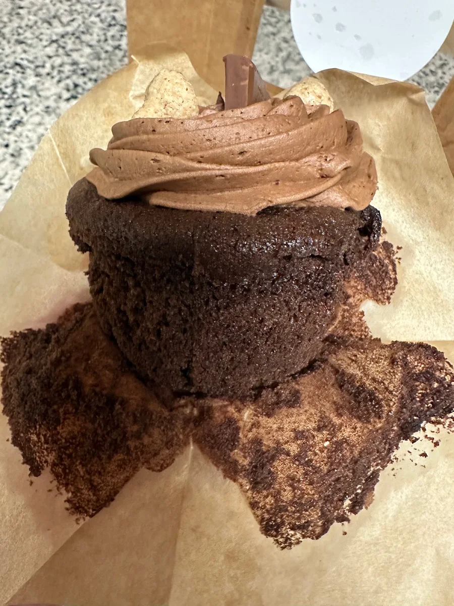 Double Chocolate Sourdough Cupcakes