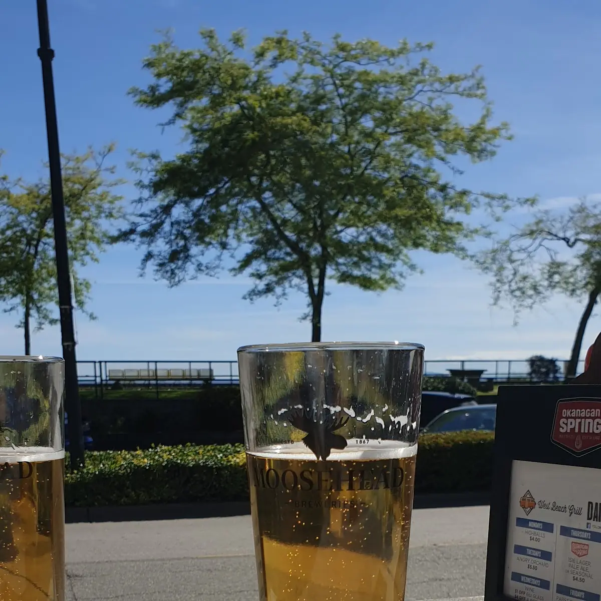 Moose Moosehead Beer