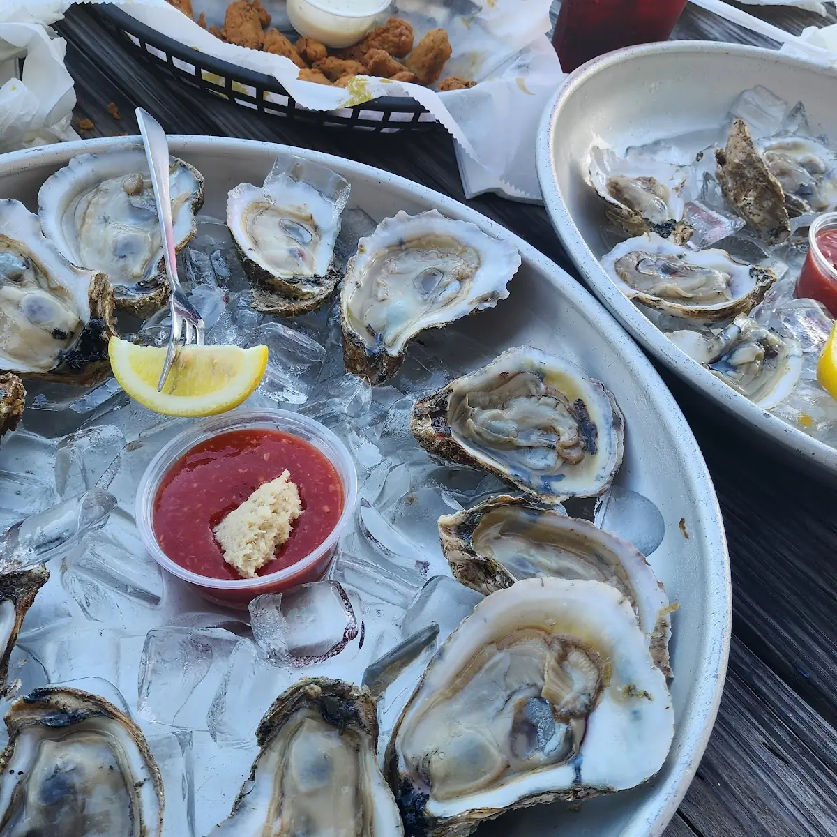 Oysters-On-The-Half-Shell