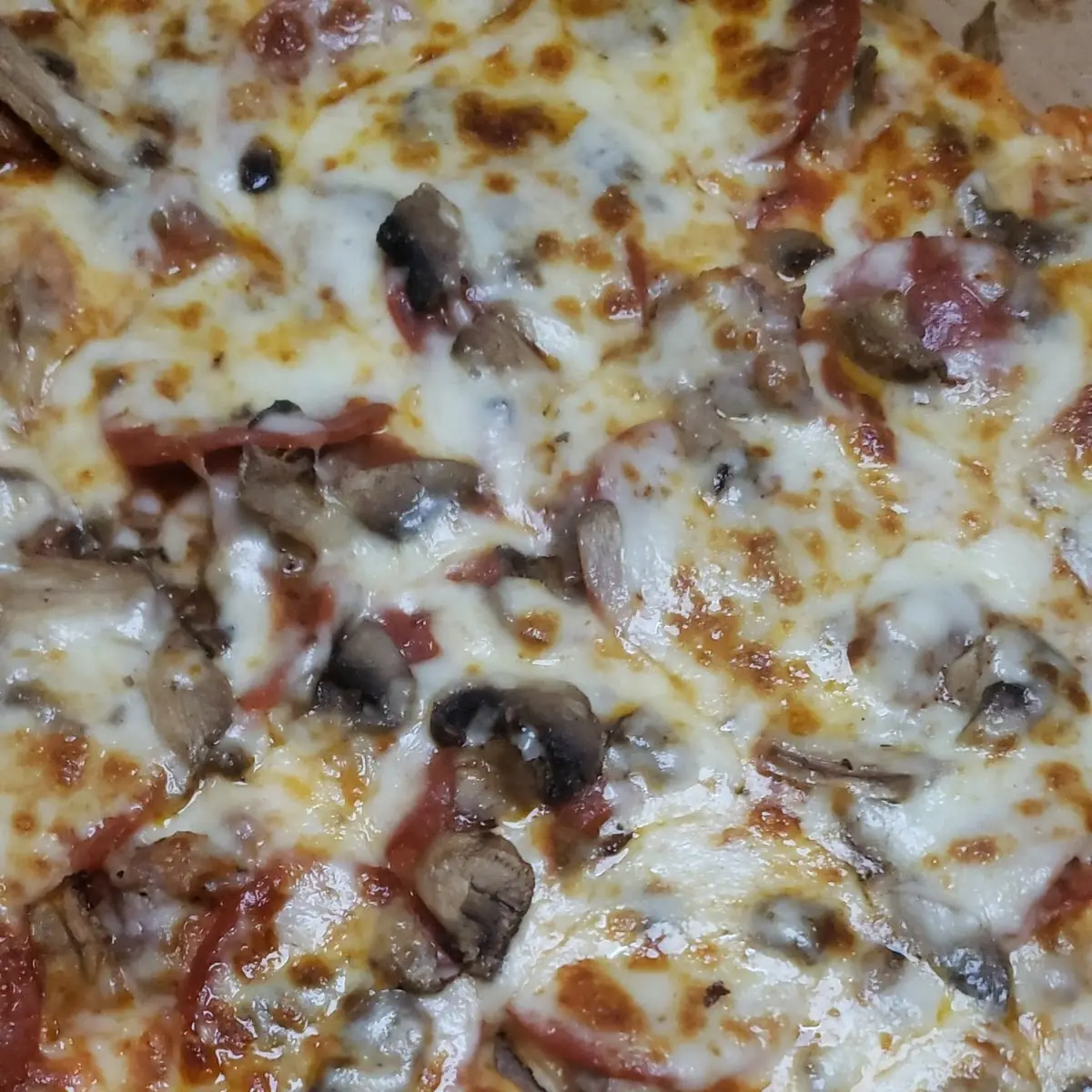 Meat Pizza
