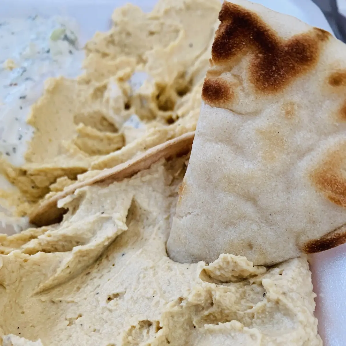 Hummus Chickpea