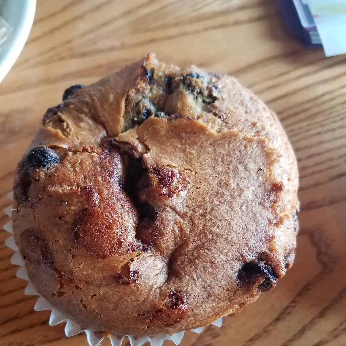 Blueberry Muffin