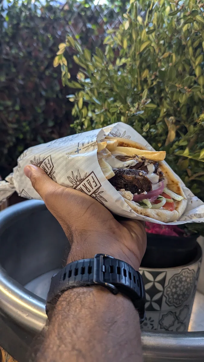 Grecian Grilled Gyro- Vegetarian & Vegan Options, Farma Greek
