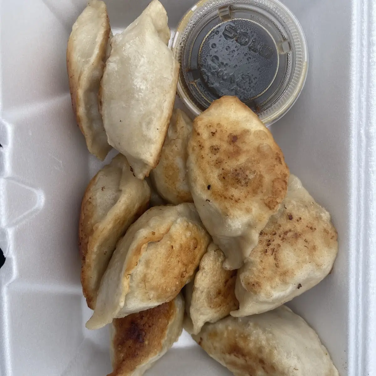 Pan Fried Dumpling