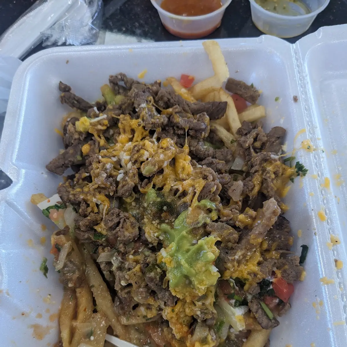 Carne Asada Fries