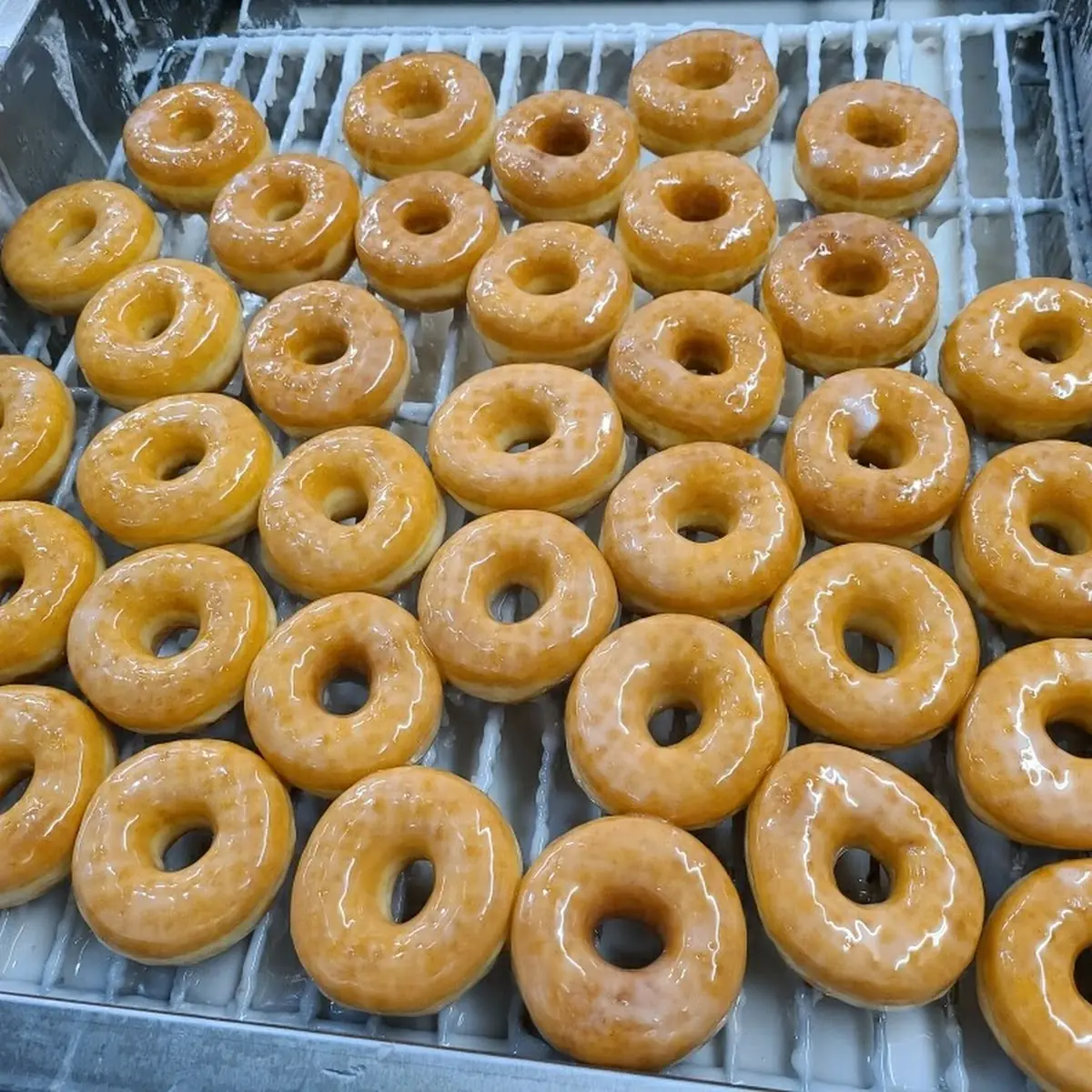 Doughnut