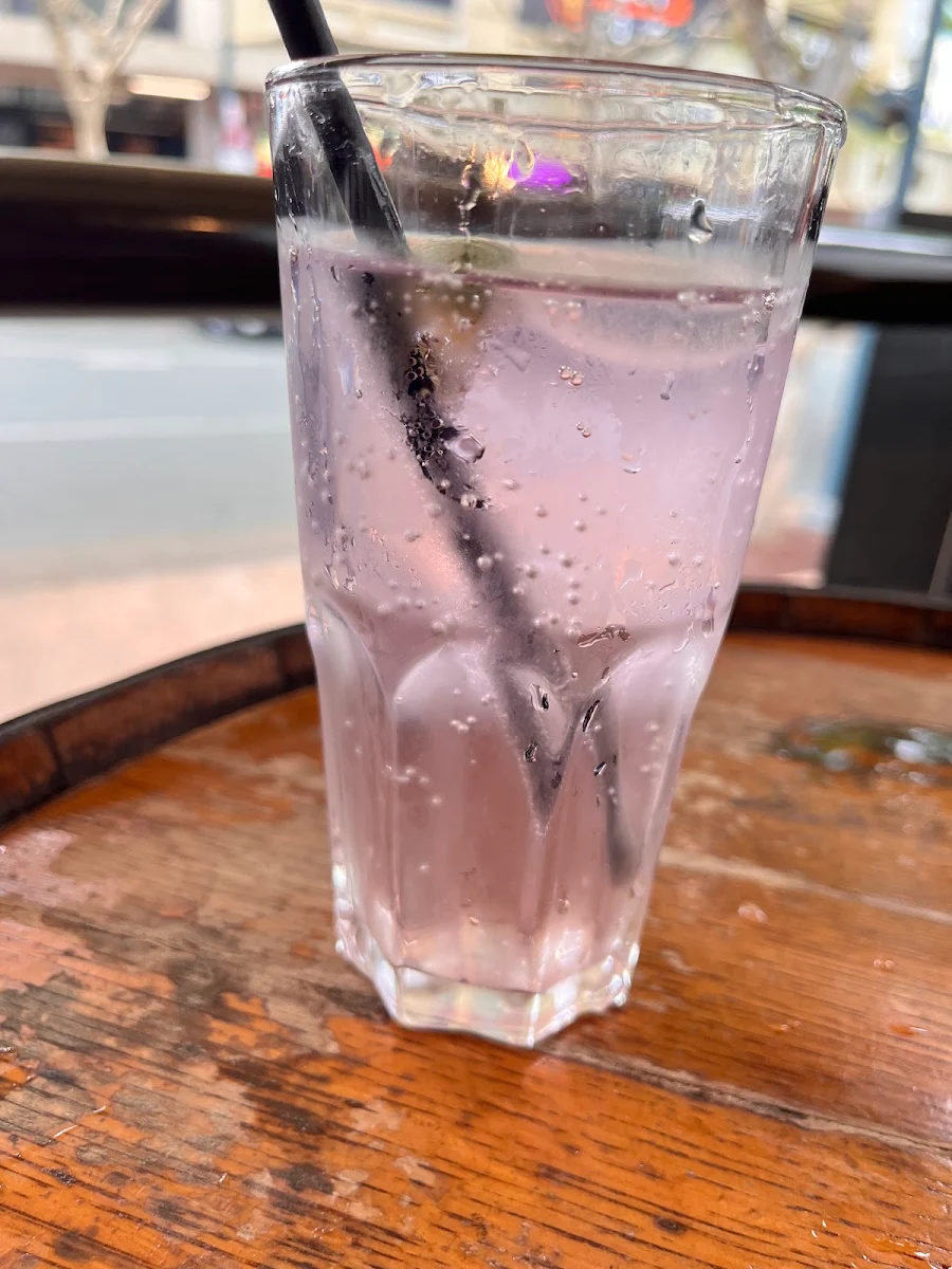 Gin Tonic, Finn McCool's Surfers Paradise