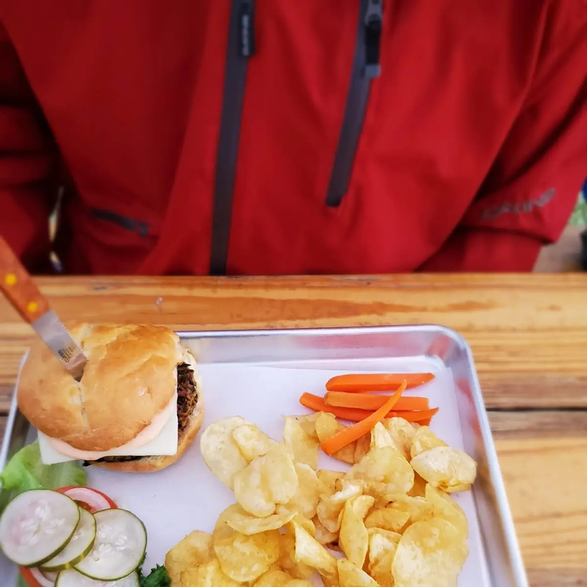 Pacific Crest Trail Veggie Burger