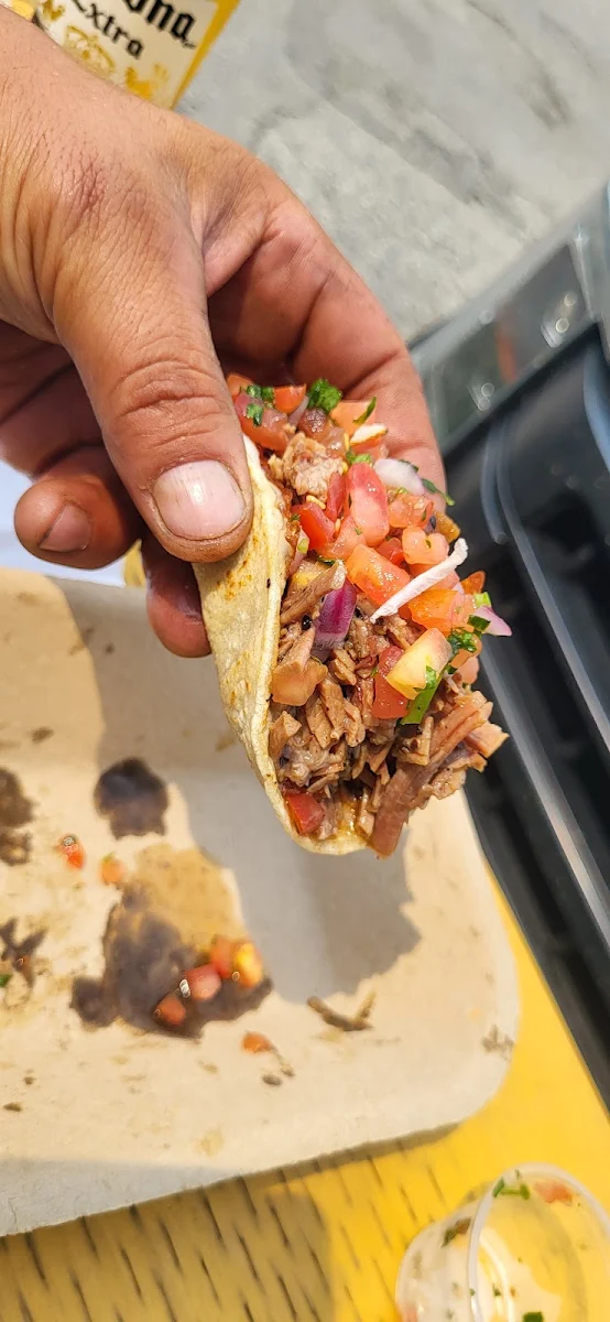 Highlights, Tacos del Norte