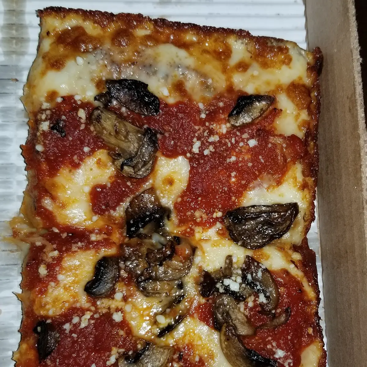 Mushroom and Cheese Pizza