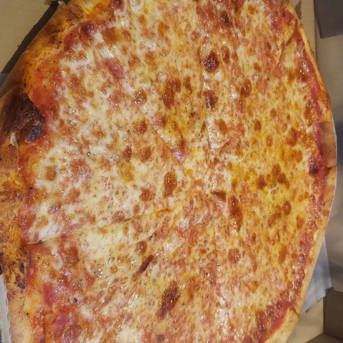 Plain Cheese Pizza