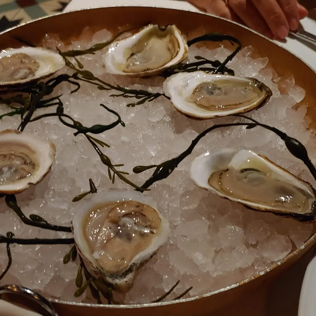 Fresh Oysters on Crushed Ice