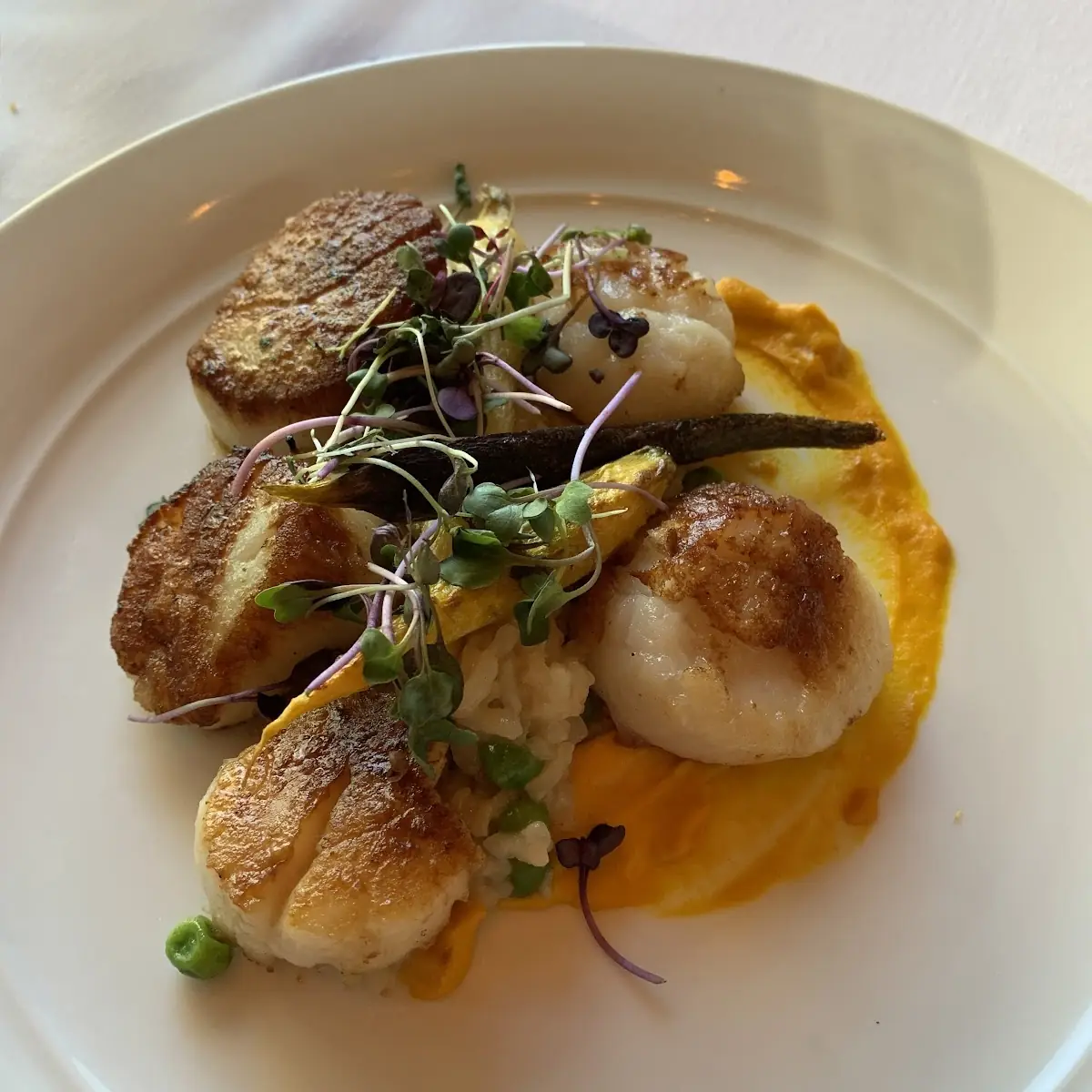 Seared Barnegat Sea Scallops