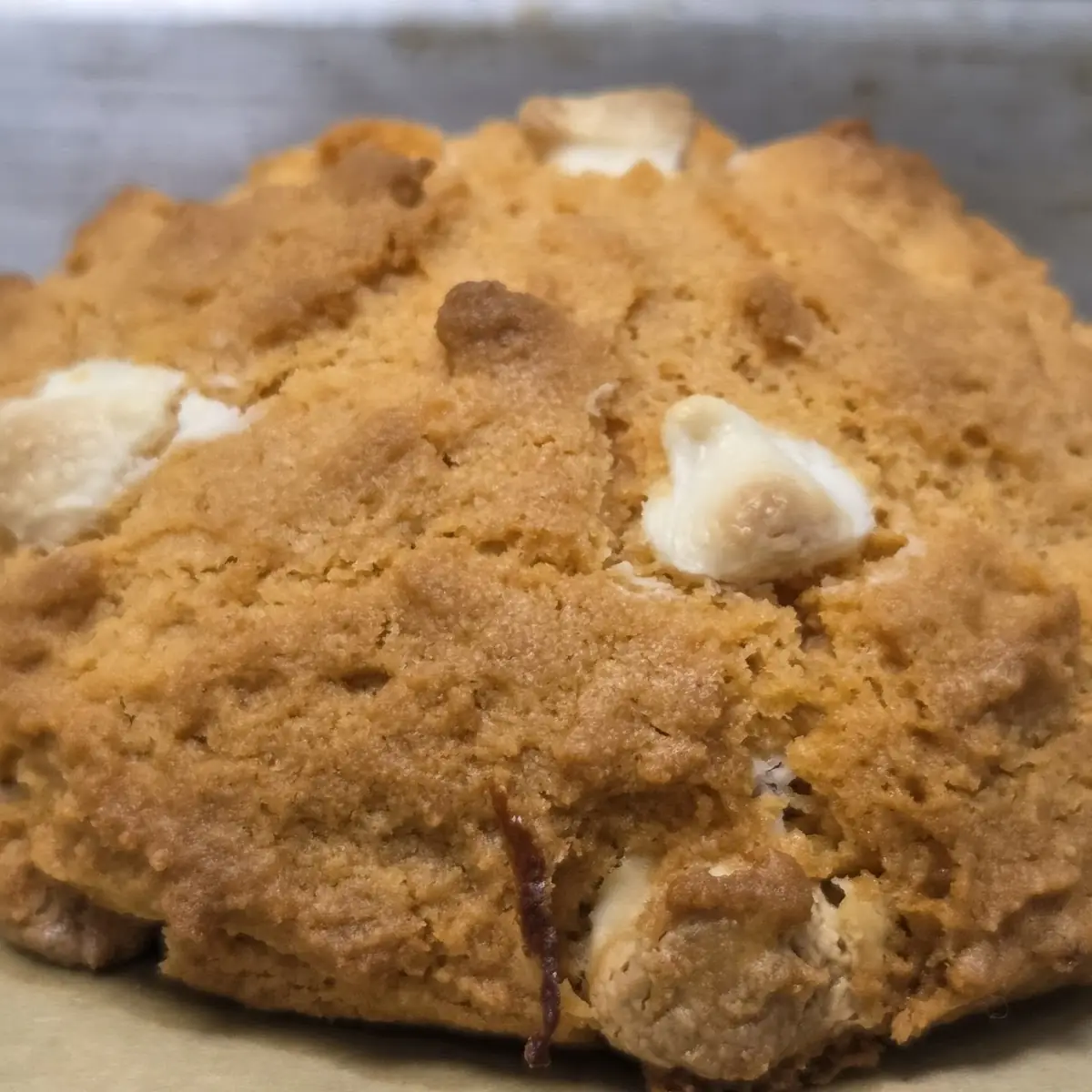 Sweet Potato Pie Cookie