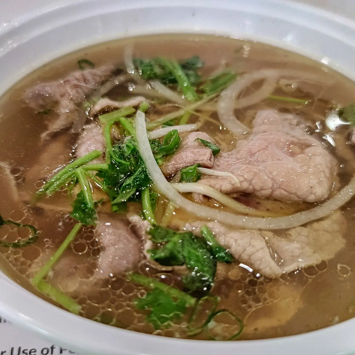 Beef Pho with Onions