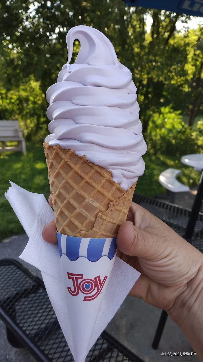 Black Raspberry Creemee in a Waffle Cone