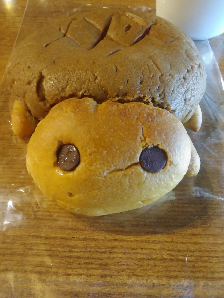 Cream Cheese Turtle