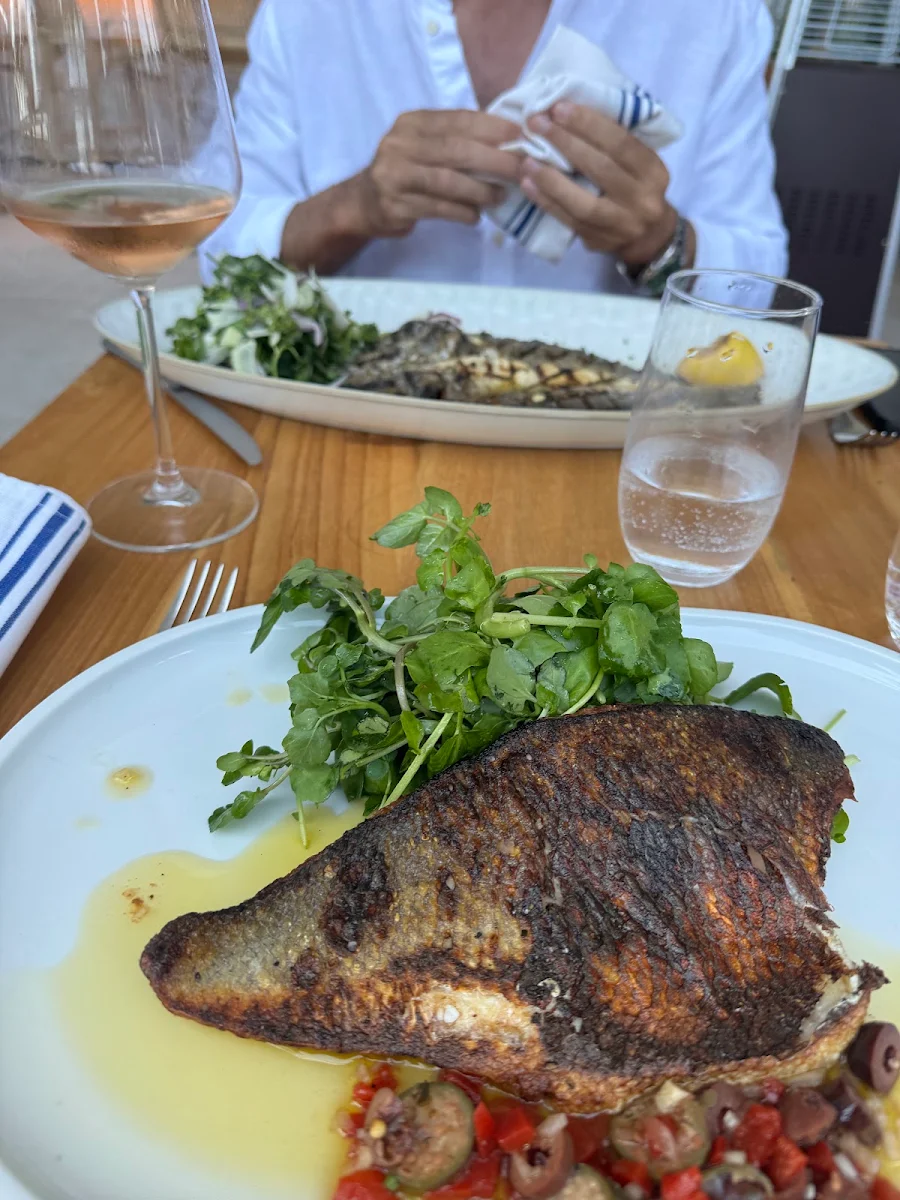 Sea Bass