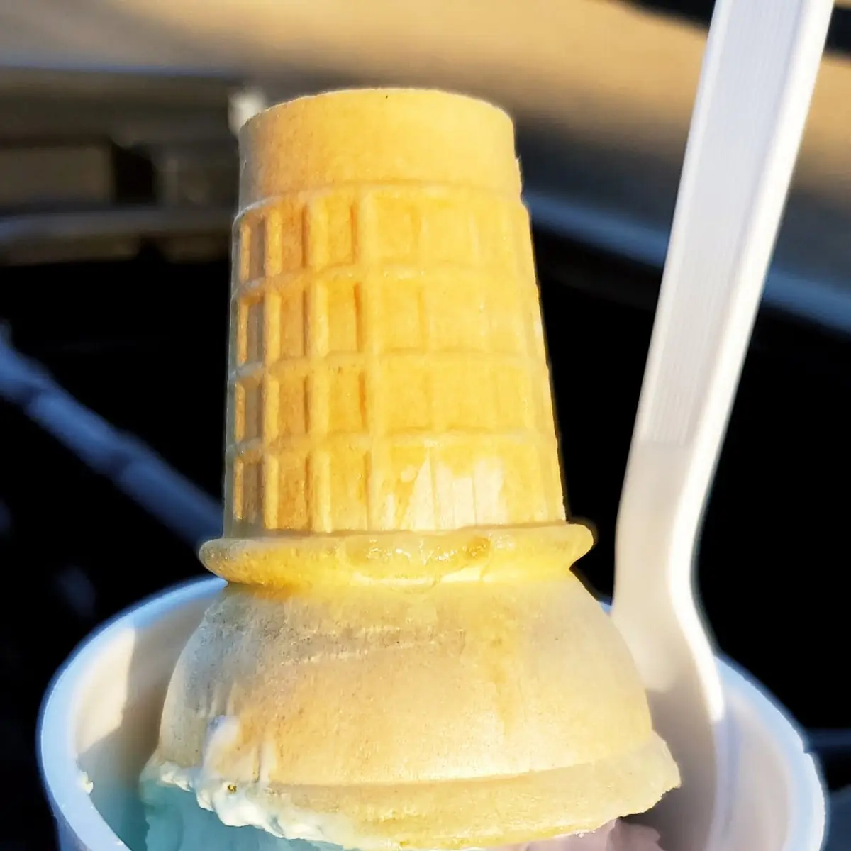 Blue Raspberry-Huckleberry Swirl Cone