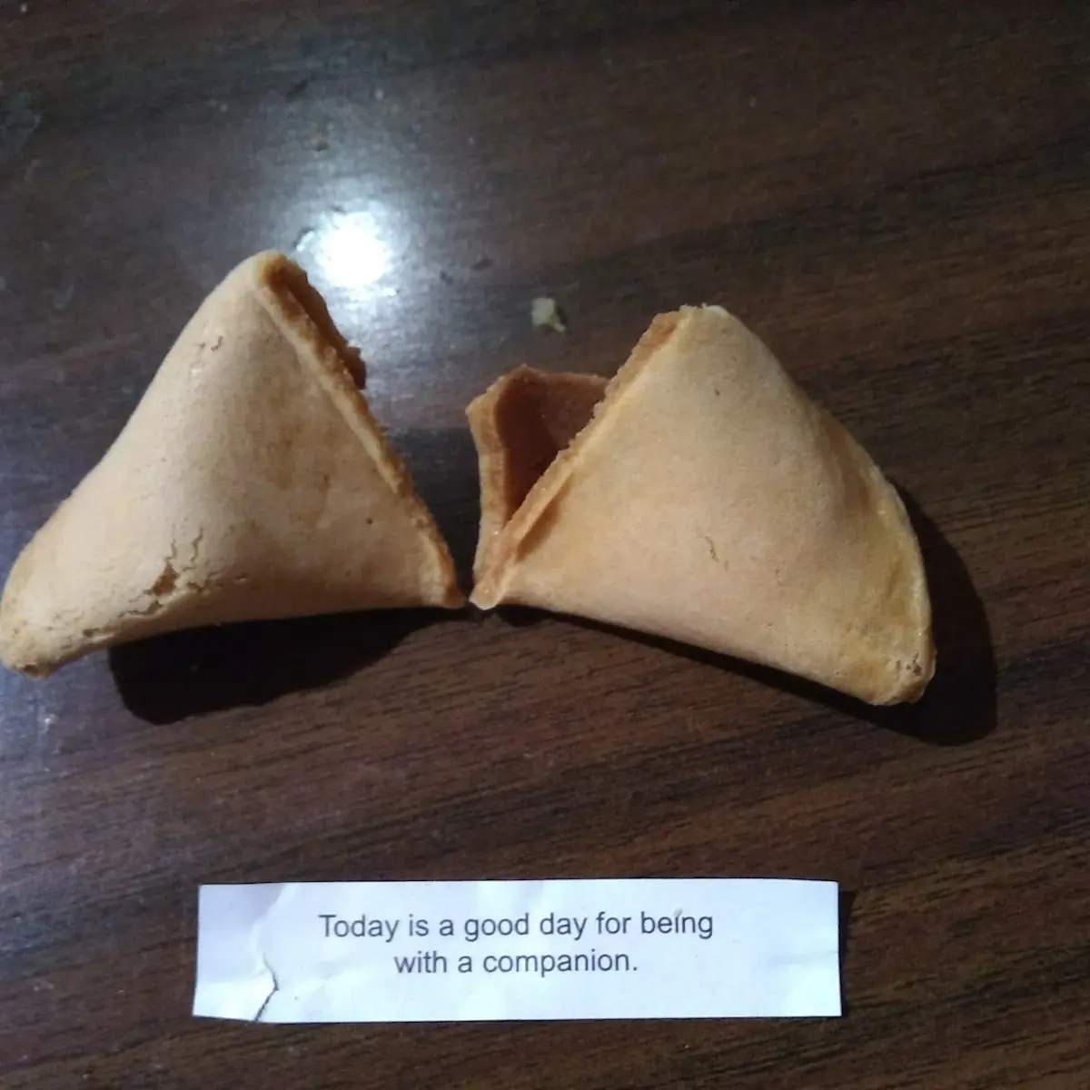 Fortune Cookie