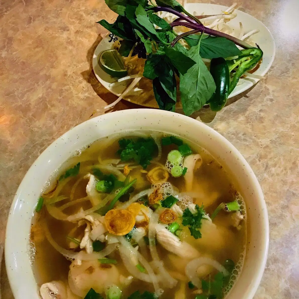 Chicken Pho Pho GA