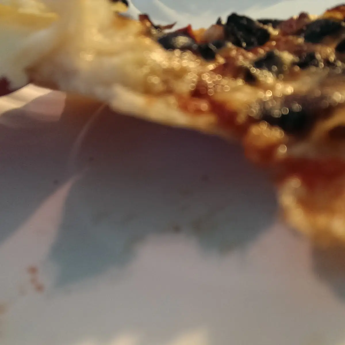 Cheese Quesadilla