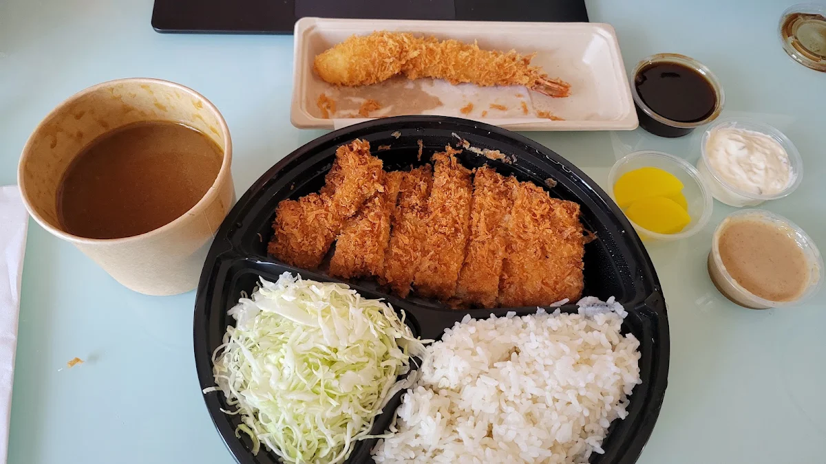 Double Crunchy Katsu