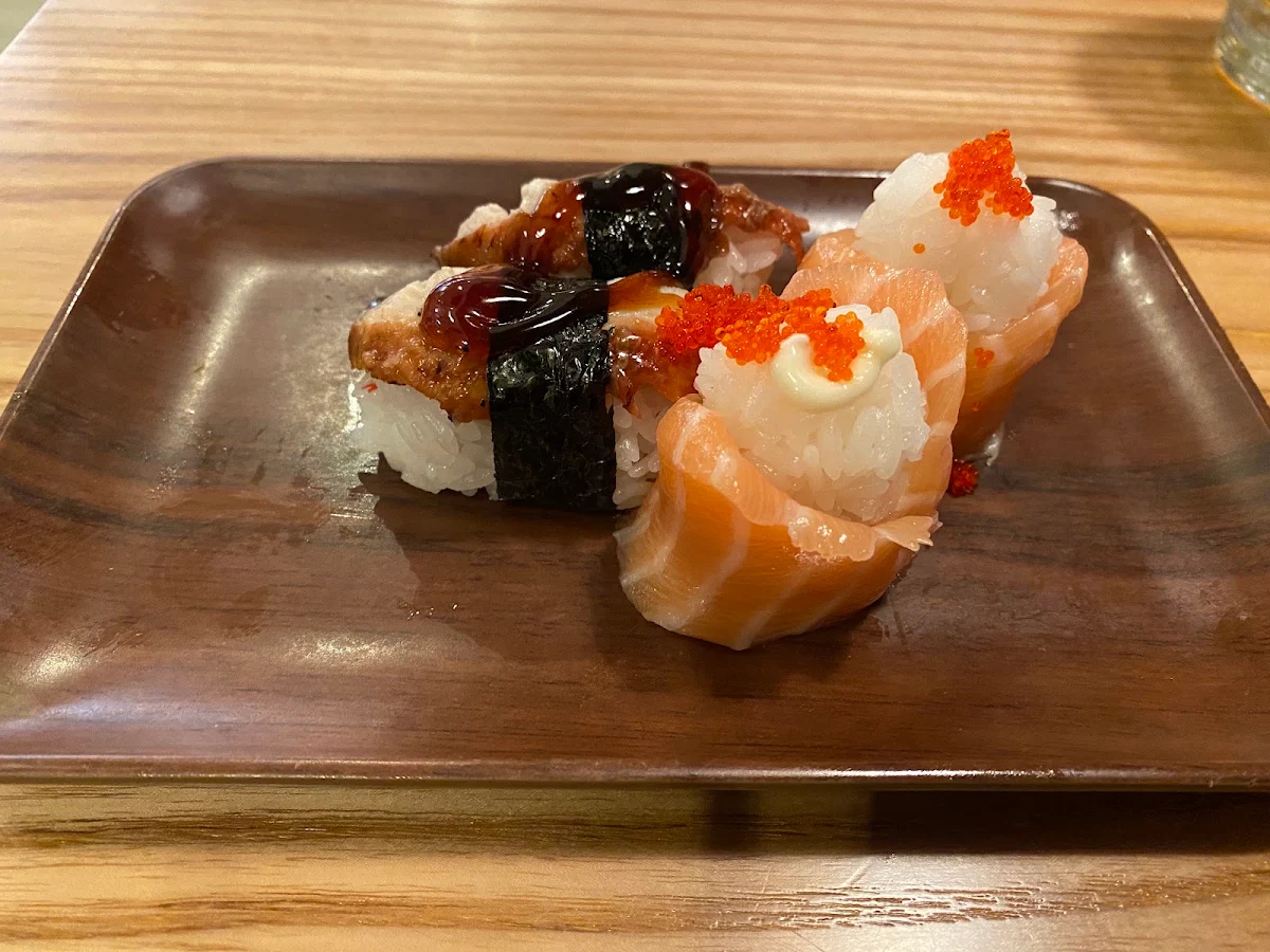 Eel Sushi and Salmon Sushi Rolls, Shogun Sushi 🍣