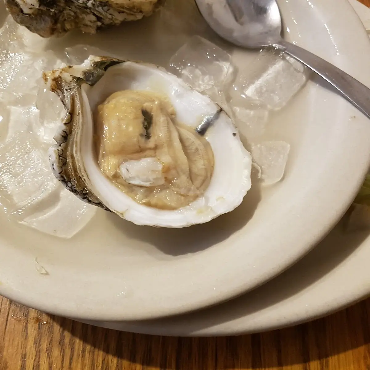 Ostiones Oysters